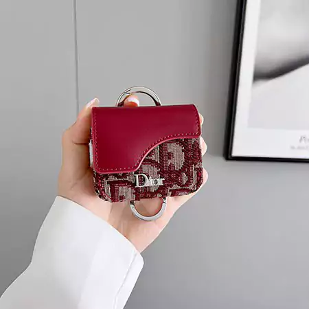 Dior - inspired color - blocked AirPods case