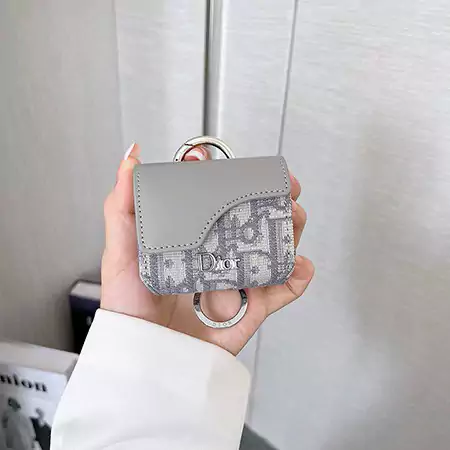 Dior - inspired color - blocked AirPods case