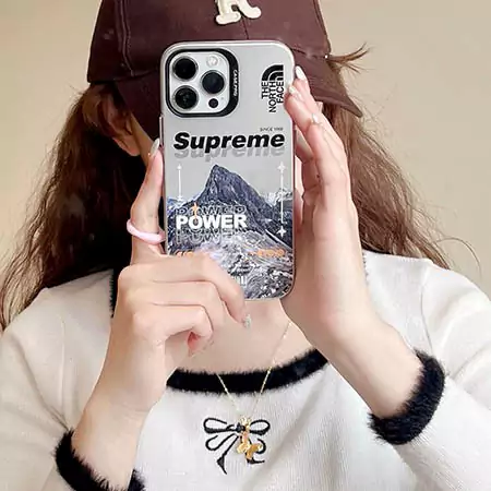supreme the north face mountain snow electroplated silver iphone 16/16pro/pro max case