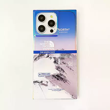 the north face landscape label iphone case