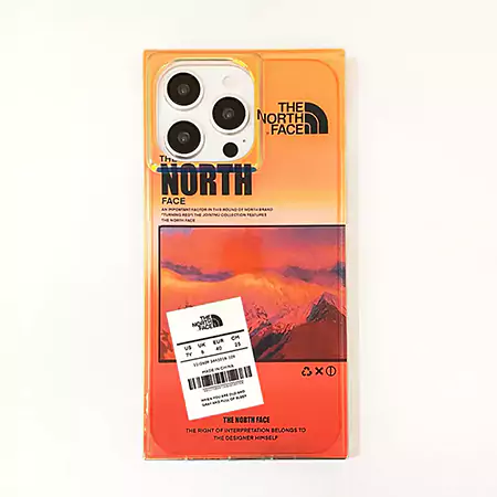 the north face landscape label iphone case