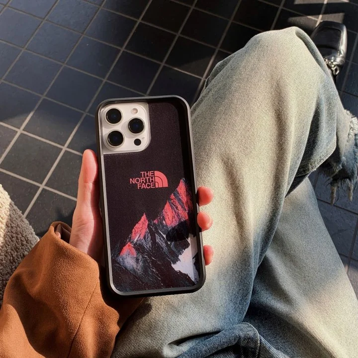  the north face iphone 15/15pro case