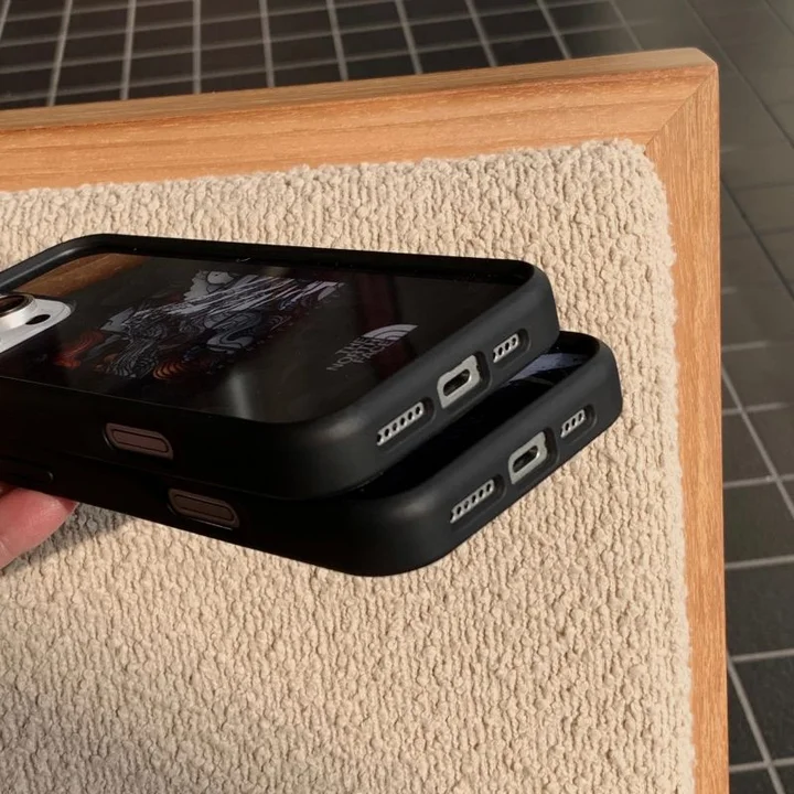  the north face iphone 15/15pro case