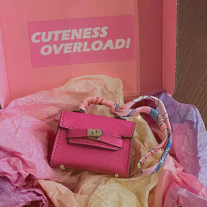  Hermès AirPods 4 case