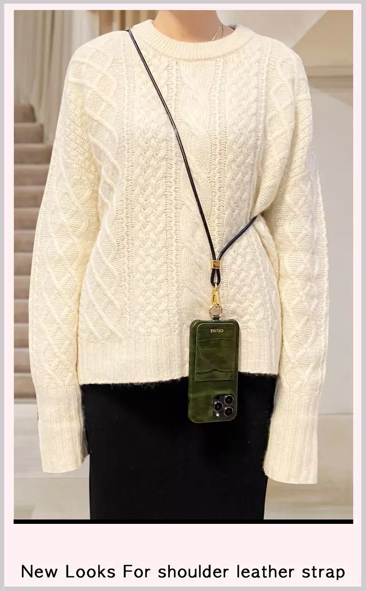  celine iphone 13/13pro case